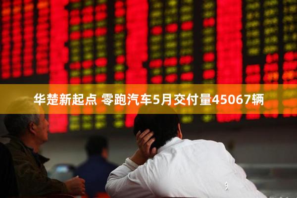 华楚新起点 零跑汽车5月交付量45067辆