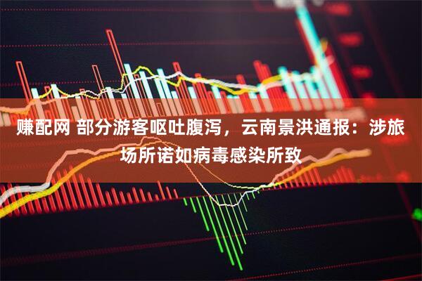 赚配网 部分游客呕吐腹泻，云南景洪通报：涉旅场所诺如病毒感染所致
