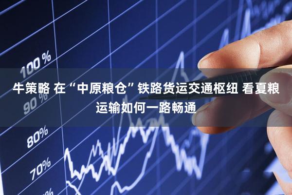 牛策略 在“中原粮仓”铁路货运交通枢纽 看夏粮运输如何一路畅通