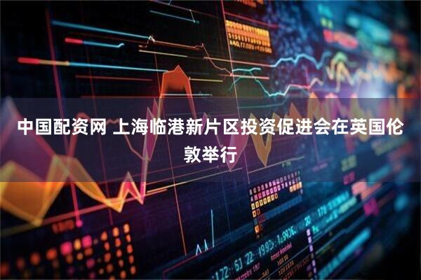 中国配资网 上海临港新片区投资促进会在英国伦敦举行