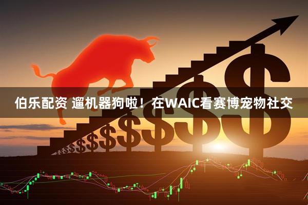 伯乐配资 遛机器狗啦！在WAIC看赛博宠物社交