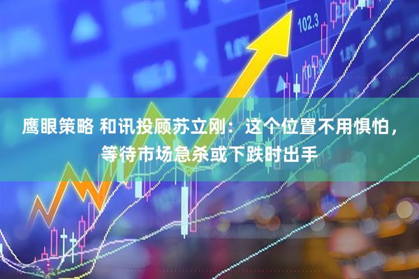 鹰眼策略 和讯投顾苏立刚：这个位置不用惧怕，等待市场急杀或下跌时出手