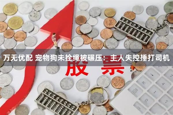 万无优配 宠物狗未拴绳被碾压：主人失控捶打司机