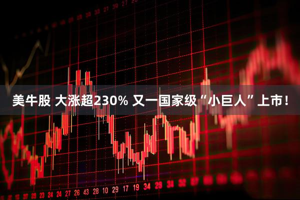美牛股 大涨超230% 又一国家级“小巨人”上市！