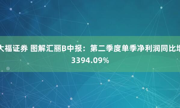 大福证券 图解汇丽B中报：第二季度单季净利润同比增3394.09%